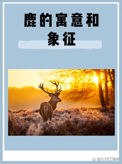 鹿对爱情忠贞吗？它究竟象征着怎样的爱情寓意？