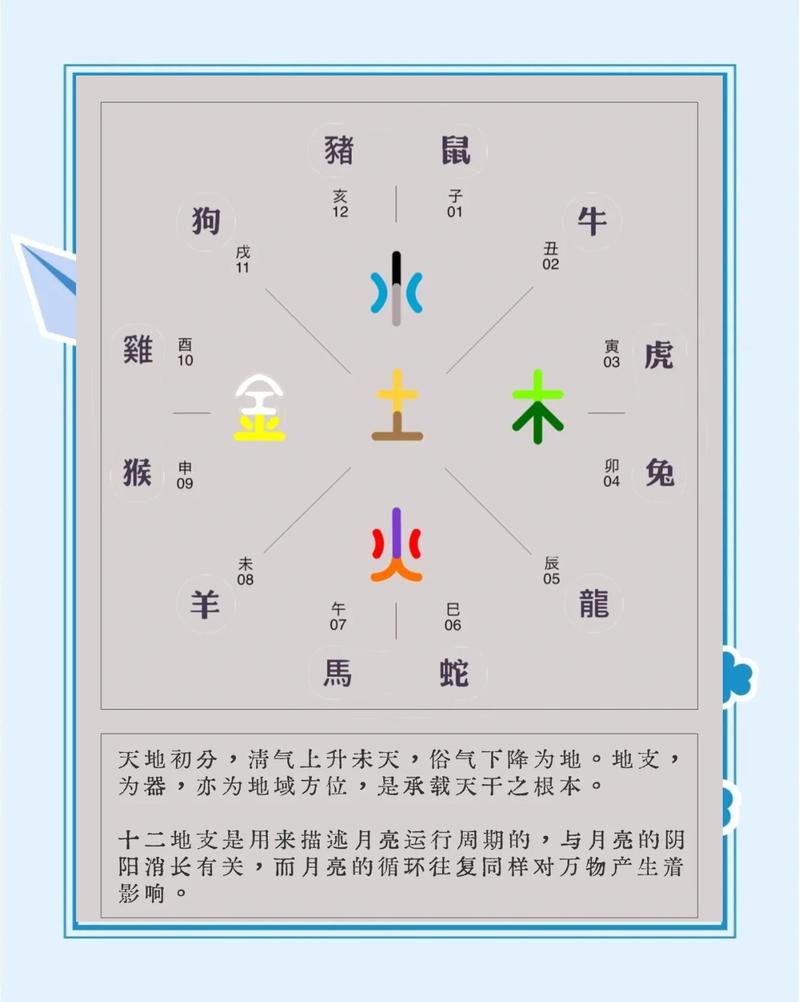 搤是什么生肖，神秘动物学中的貜又是哪个生肖？