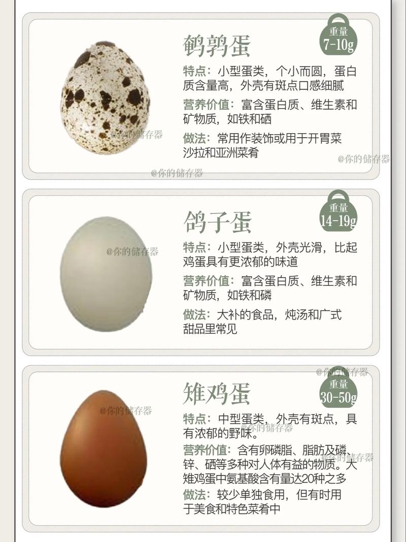 世界上有哪些著名的蛋的名称？