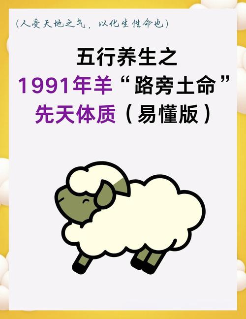 1991年属羊的人一生中会遭遇哪些重大劫难？
