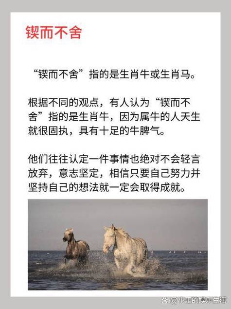 锲而不舍的生肖动物是哪个？