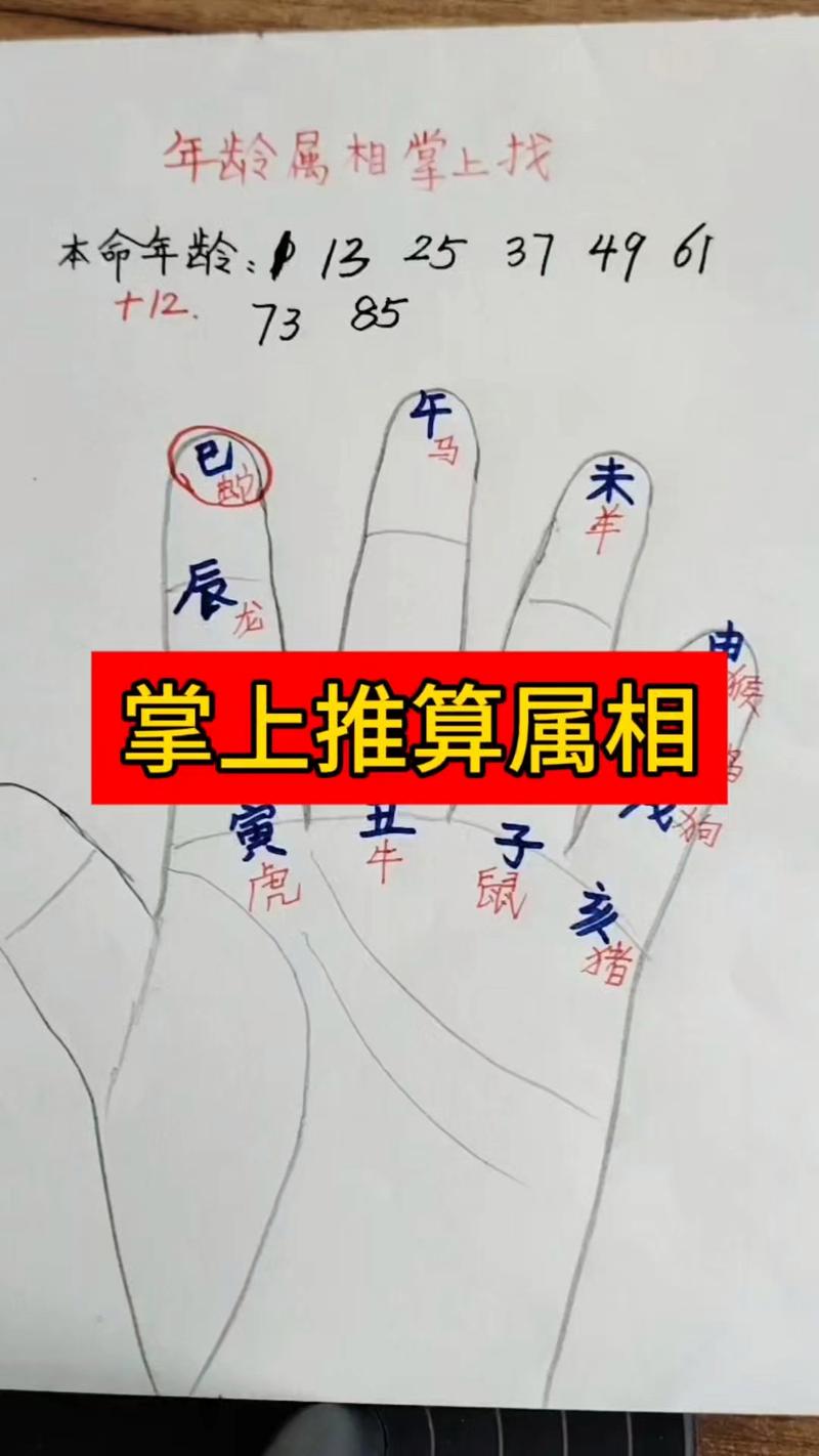如何用五个手指巧妙计算涵盖十二生肖的周期？