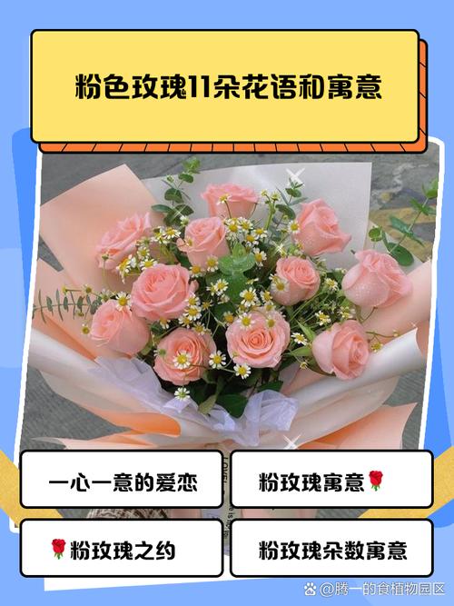 粉色玫瑰11朵代表什么寓意和花语？