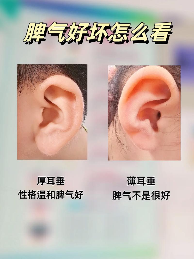 女人面相没有耳垂代表什么？面相看女人无耳垂有何含义？