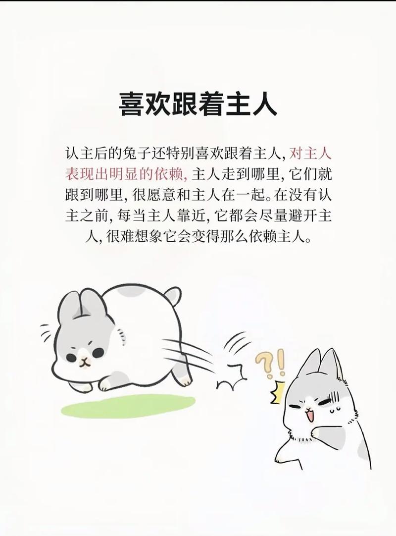 兔子有哪些行为或举动表明它已经认主并喜欢主人呢？
