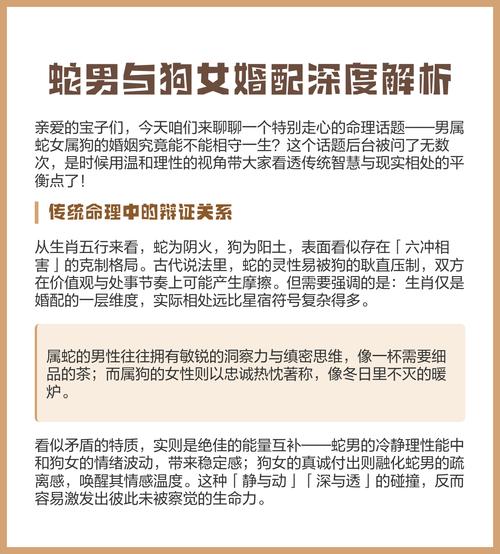 蛇狗相配吗？属相配对运势究竟如何？