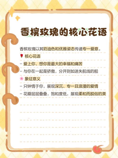 13支香槟色玫瑰花语究竟代表着什么含义？