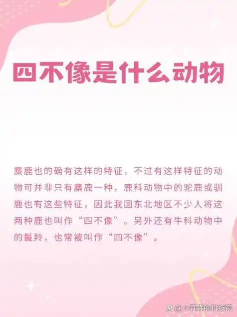 澳门四不像生肖究竟是什么驴形动物有没有角，最准确的答案是什么？