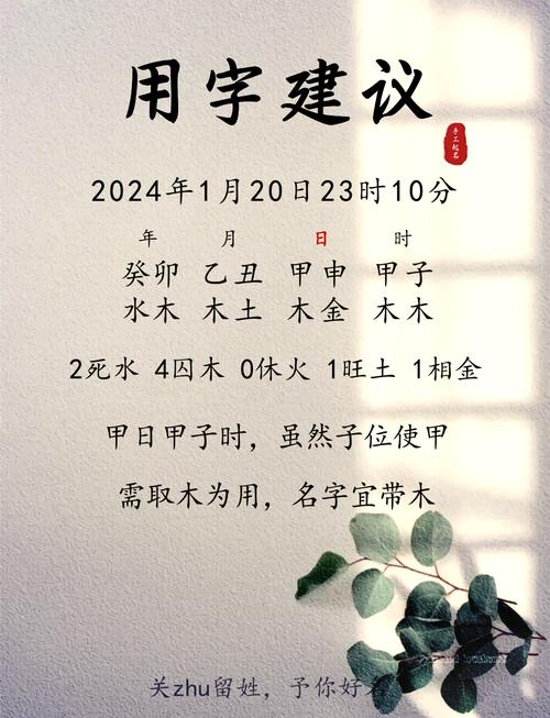 戴姓男孩名字有哪些取自诗经和楚辞的？