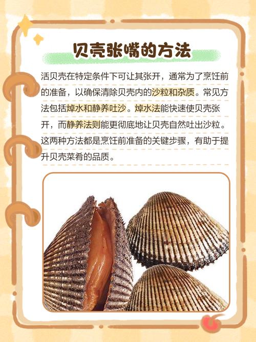 梦见贝壳被撬开，贝壳开了和破了有什么忒别的讲究或寓意？