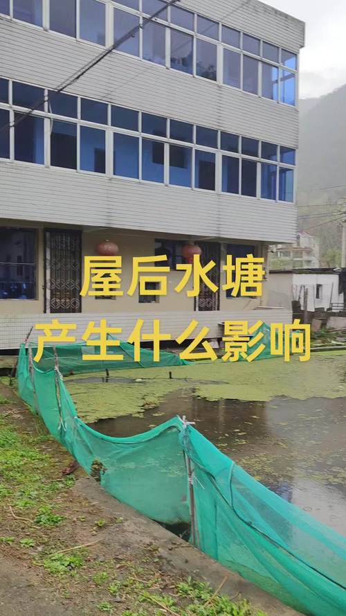 屋后挖水塘对风水有何具体影响？有什么讲究？