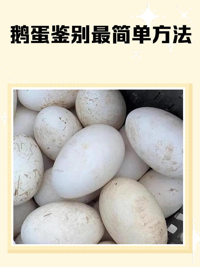 梦见鹅蛋鸭蛋鸡蛋分别预示着什么吉凶？