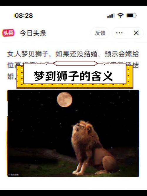 老年人梦见狮子预示着什么吉凶？