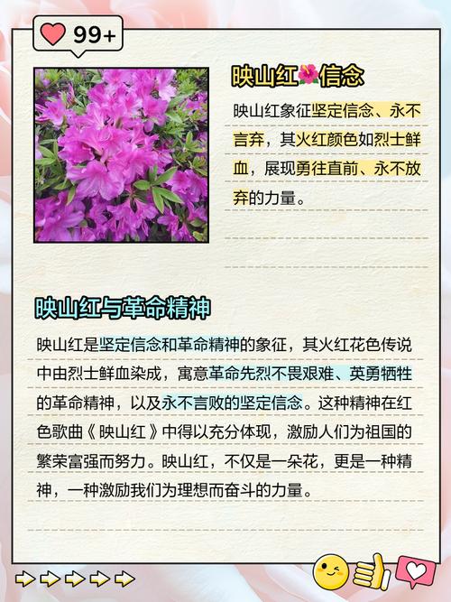 红色究竟象征着什么深层含义和广泛寓意？
