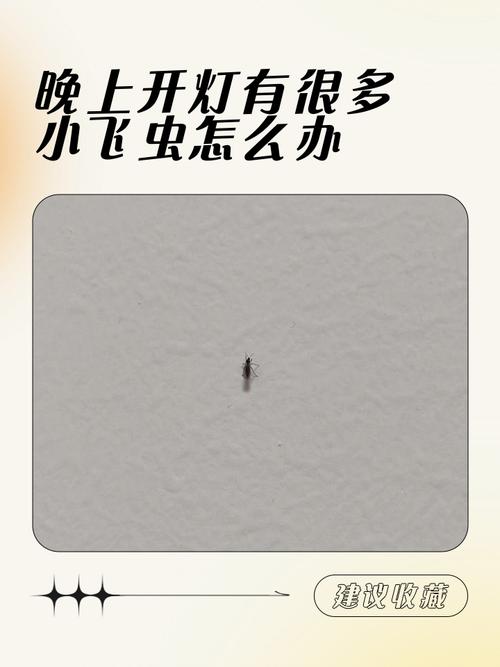 萤火虫夜间飞入家中预示着怎样的吉凶征兆？