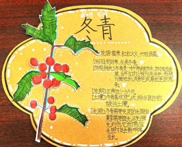 小学种植园取名字有哪些创意？