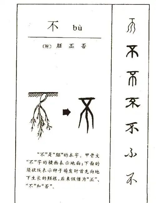不字在名字中代表什么含义，它属于五行中的哪一行？