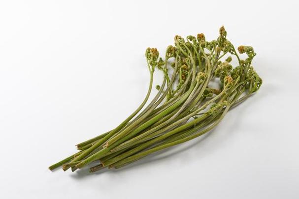 孕妇梦见大量蕨菜预示着什么含义？