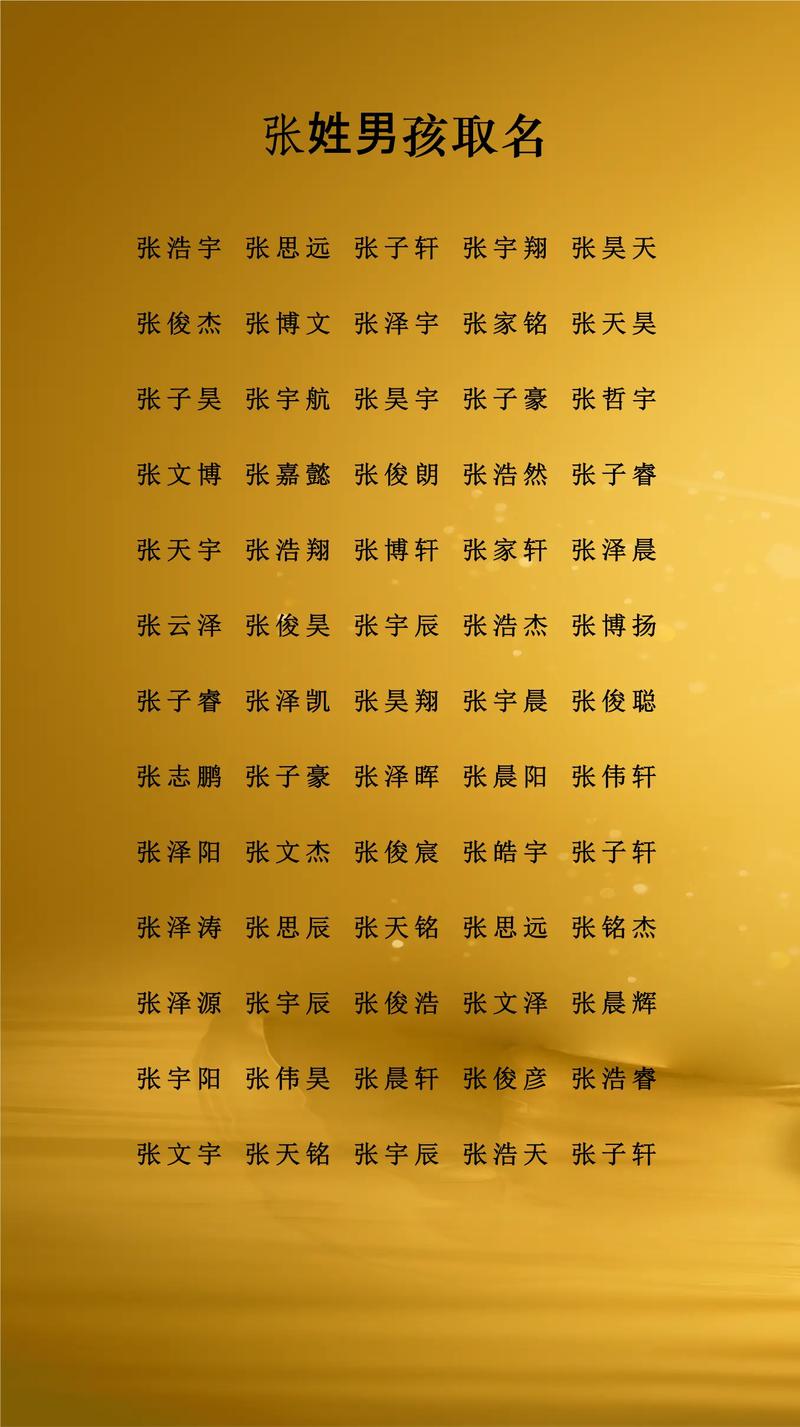 有没有好听又稀少的张姓男孩名字推荐？