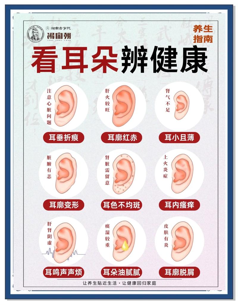 耳朵长得小的人命运是否真的不好，这其中的关联有何科学依据？