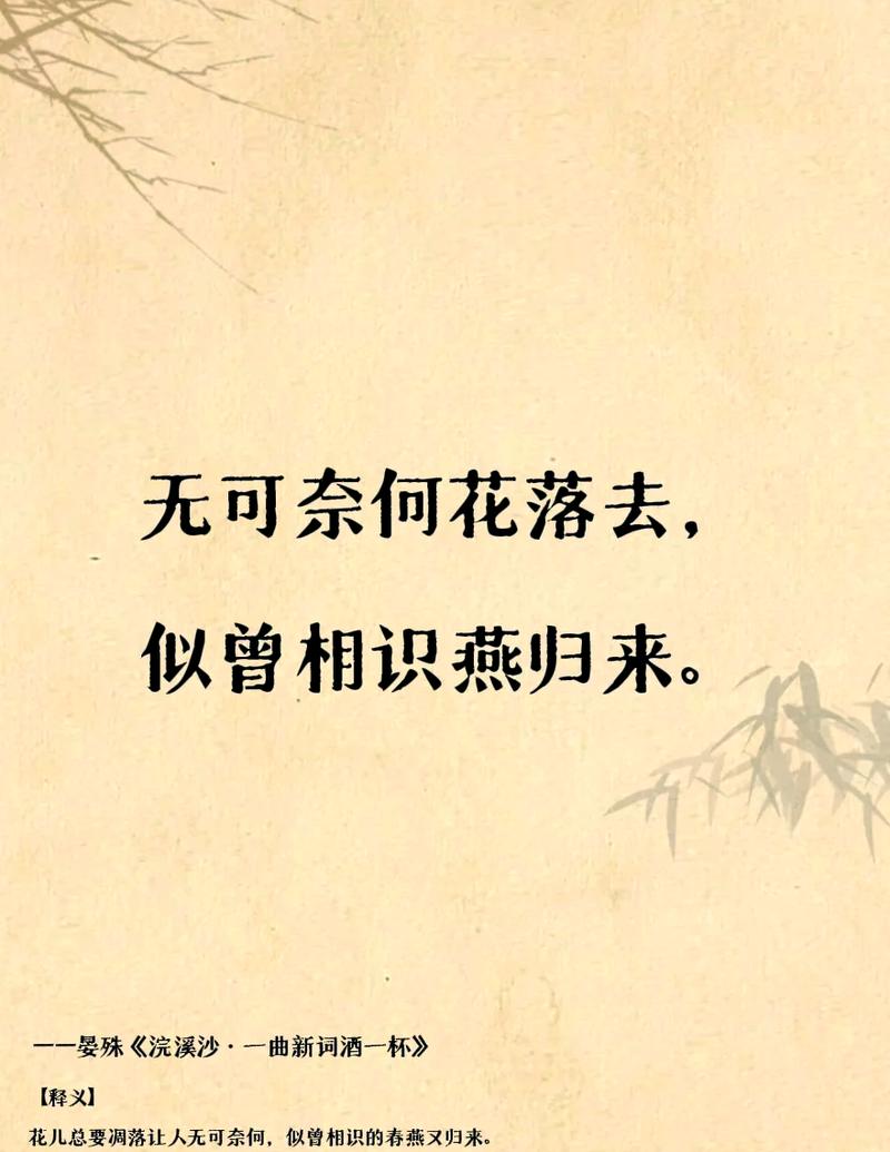 何方仙子落凡尘，此景此情谁解忧？