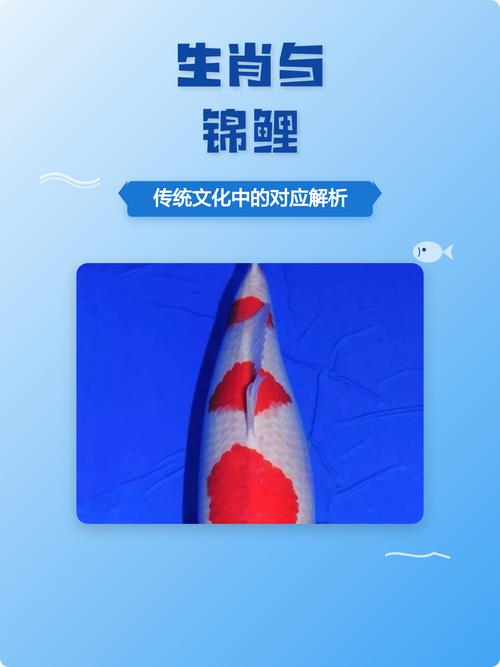 十二生肖中，哪一种生肖的象征是锦鲤？