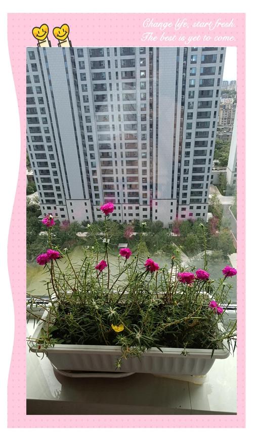 八字火旺的男人有哪些显著特征或命理表现？