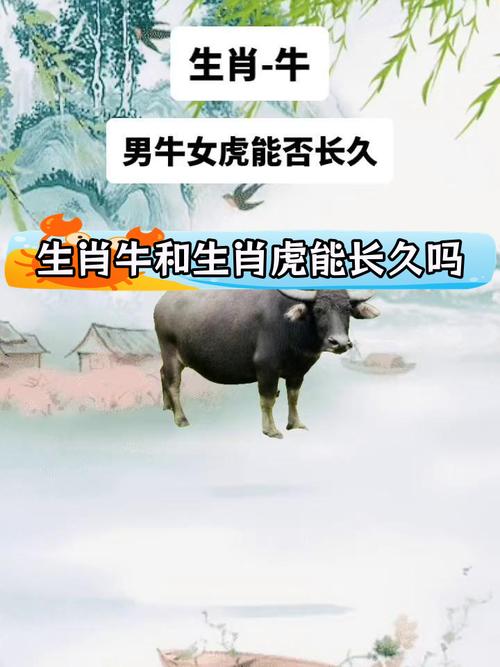 为什么属牛的人与属虎的人不适宜结婚，他们的婚姻会遭遇哪些麻烦？