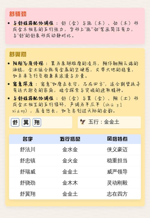 舒姓男宝宝名字有哪些既好听又有意义的选择？