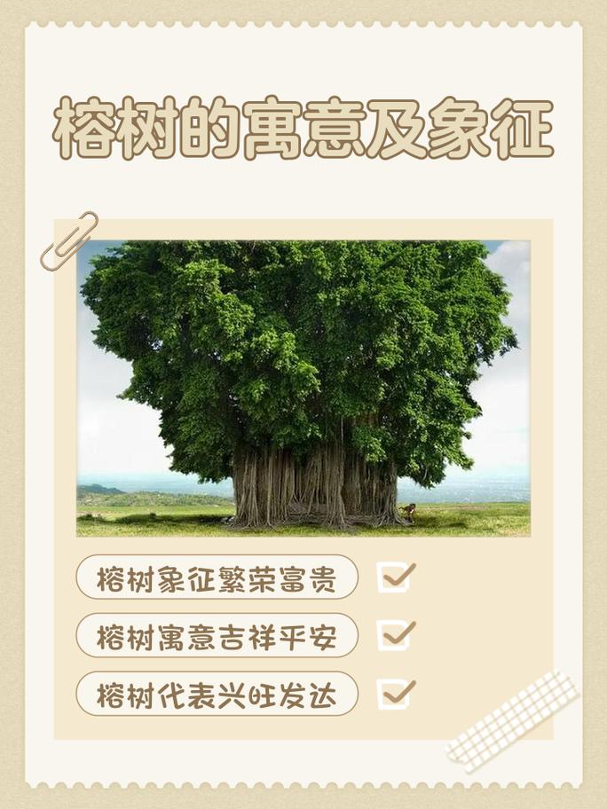 女人梦见一排排小树是什么预兆？预示着什么好事发生？