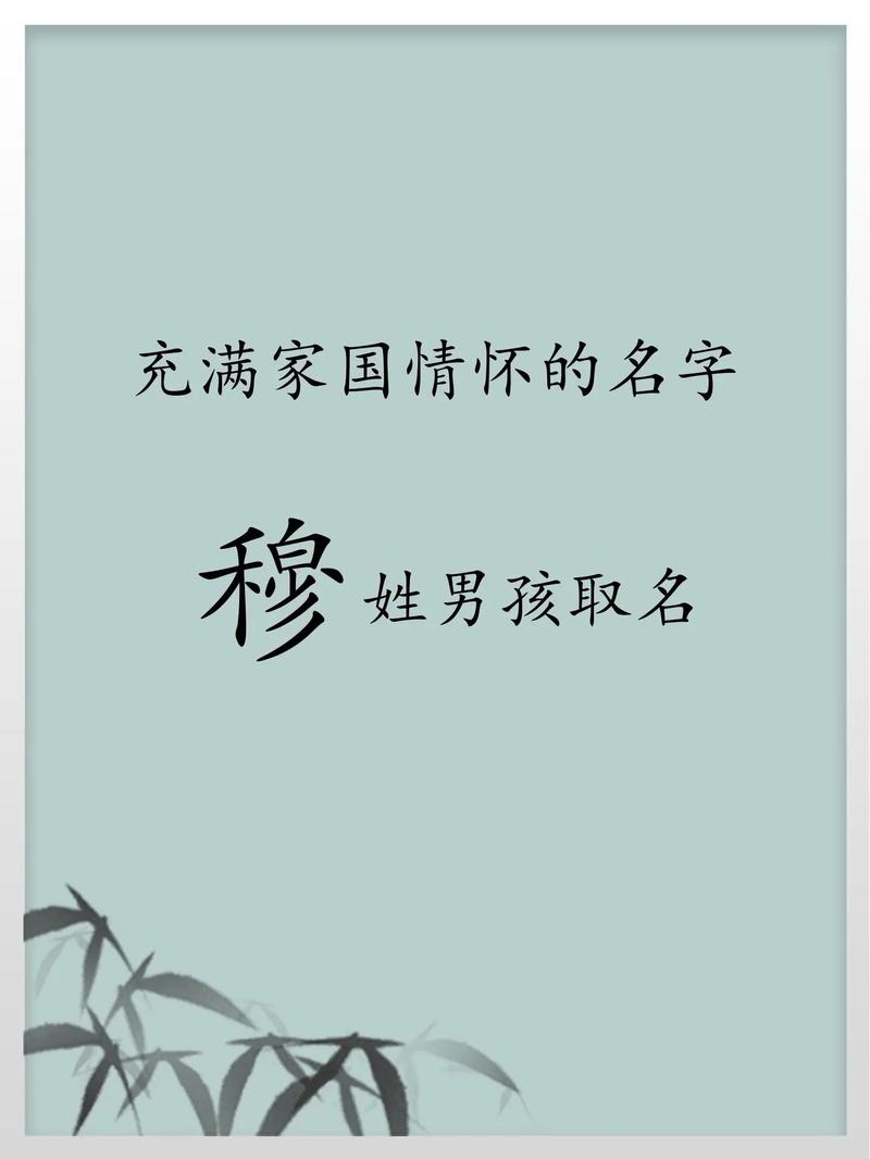 鸡年出生的穆姓男孩取个有才华的名字，有没有什么好建议？