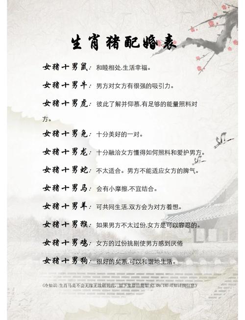 如何与属猪的人建立友好关系？