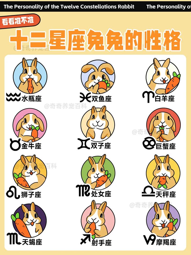 属兔子的星座是哪个？告诉我这个星座的名称。