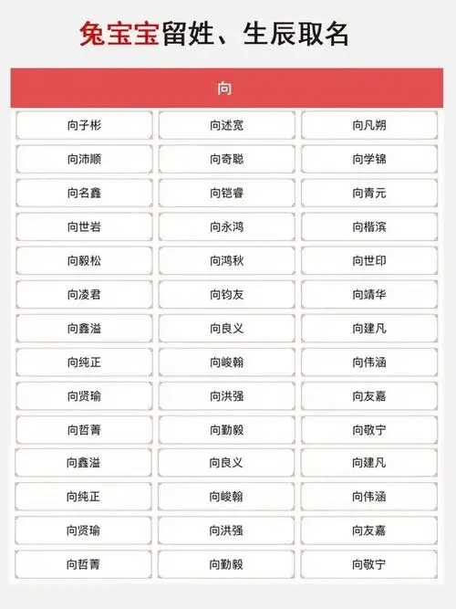 姓向的男孩名字有哪些好听的推荐？