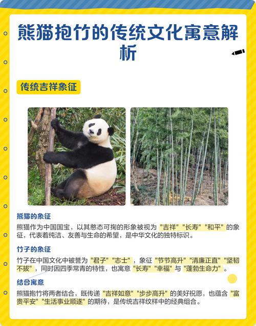 大熊猫的名字中蕴含哪些吉祥寓意，能带来好运和幸福？