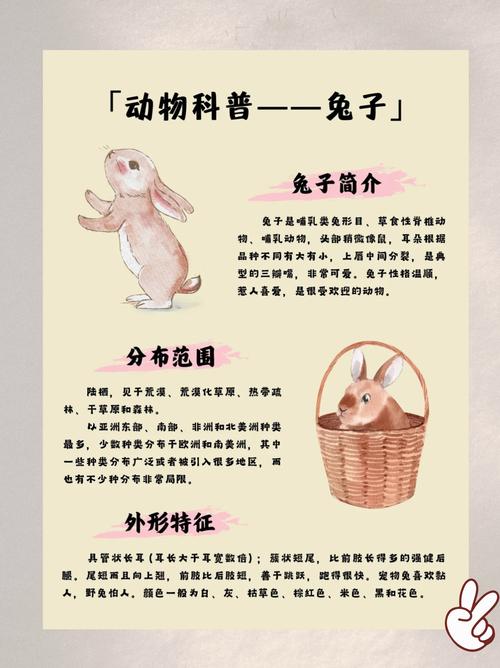 兔子的性格特点有哪些，嫩详细描述一下吗？