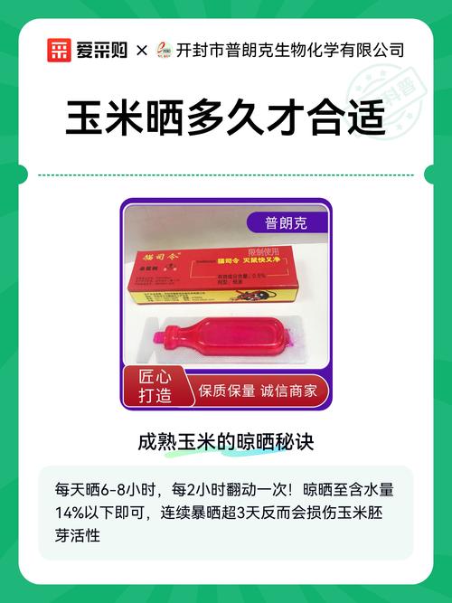 梦见晒玉米有什么特殊预兆或含义？