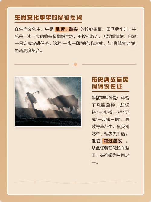 十二生肖中哪个属相的人最脚踏实地、务实可靠？