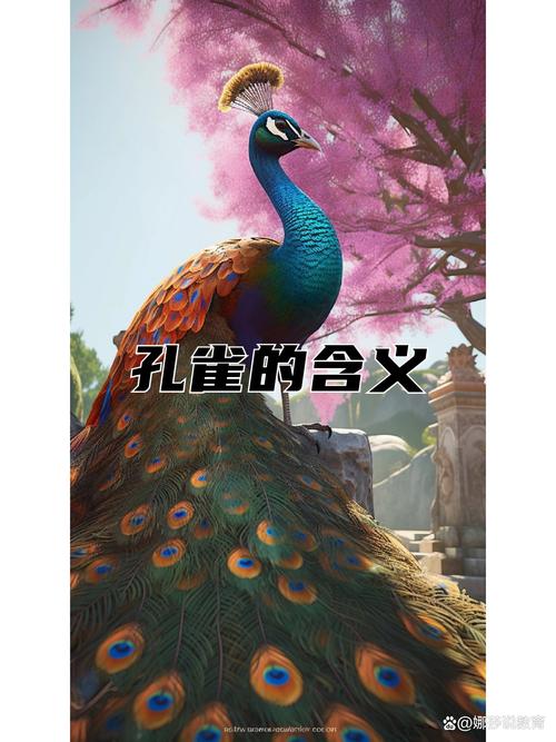 野生孔雀的寓意究竟蕴含着哪些深层含义？