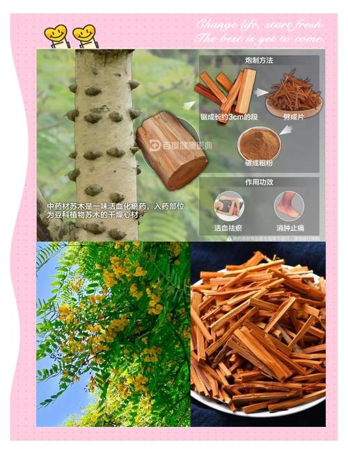 本草纲目中那些动人心弦的苏姓药材，你知道叫什么名字吗？