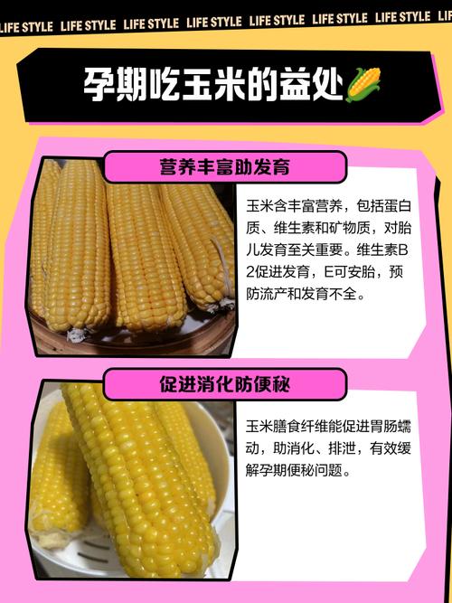 孕妇梦见煮玉米吃，这预示着什么好寓意？