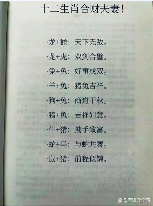 1979年出生属羊的人与哪些属相最合财？