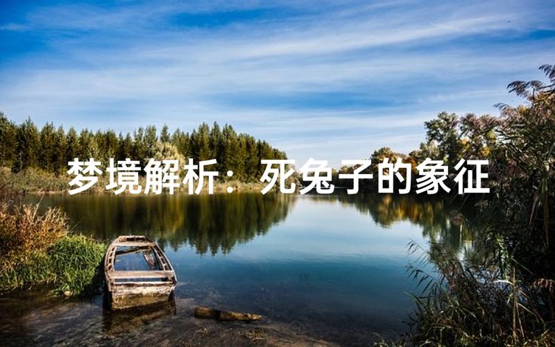梦见打兔子打死了这梦境究竟预示着什么含义？