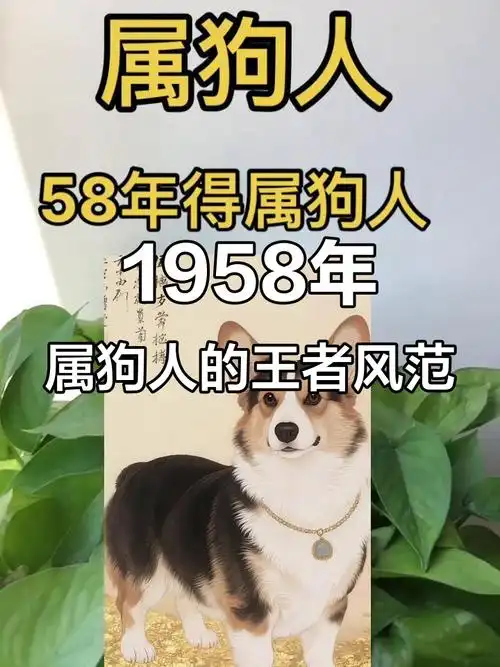 1958年属狗女性命运究竟如何，一生命运会有哪些起伏和转折？