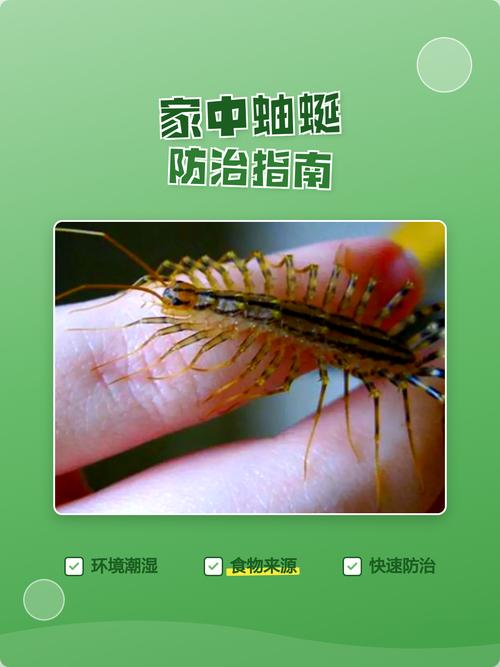 家里突然有蚰蜒却找不到，现在连门都不敢进，这是怎么回事呢？
