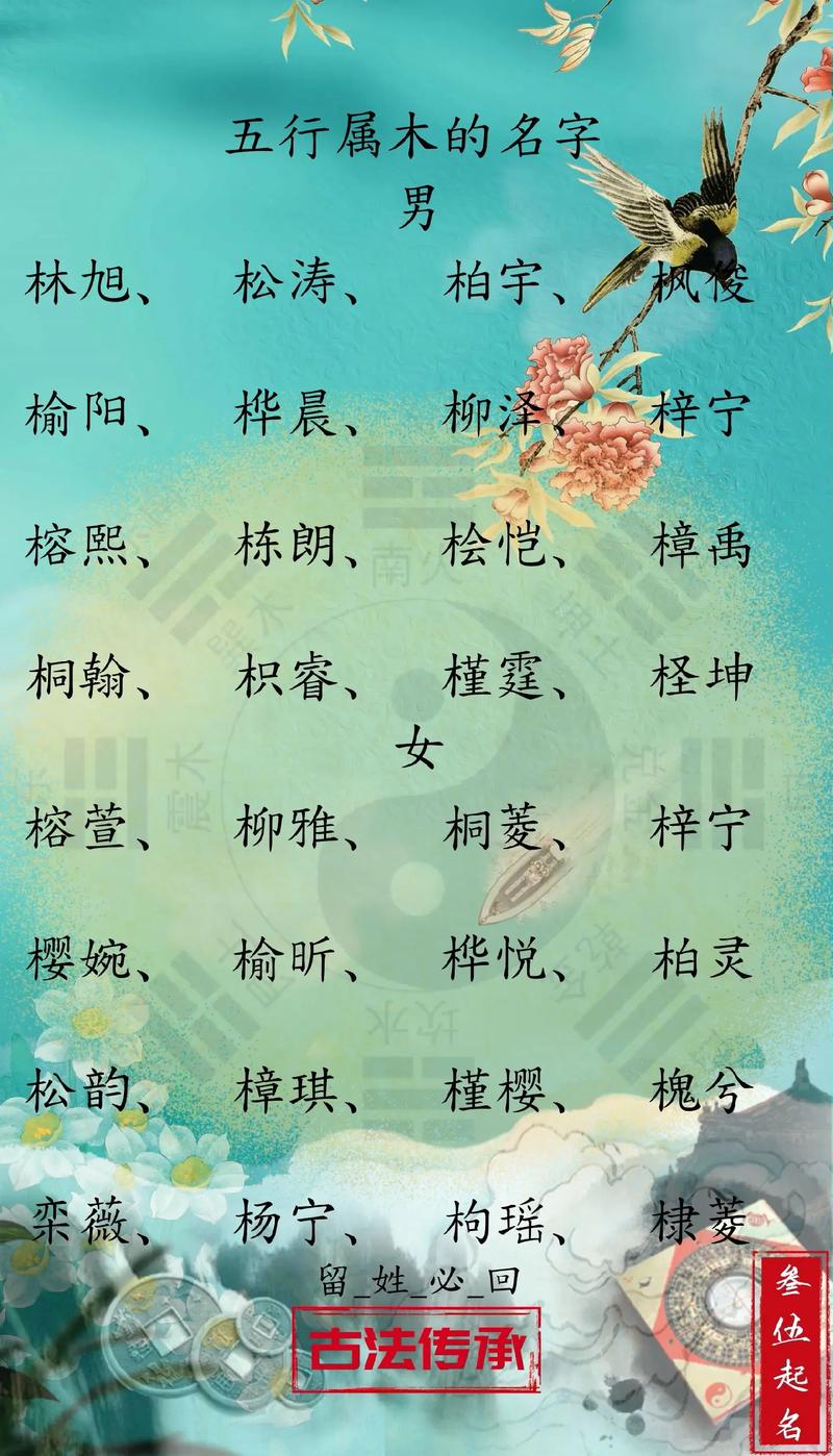有没有三个字带木属性的女孩名字推荐？