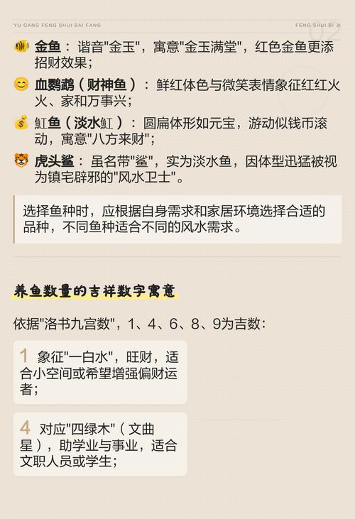 鱼缸摆放风水有哪些讲究，具体应该放在哪个位置最合适？