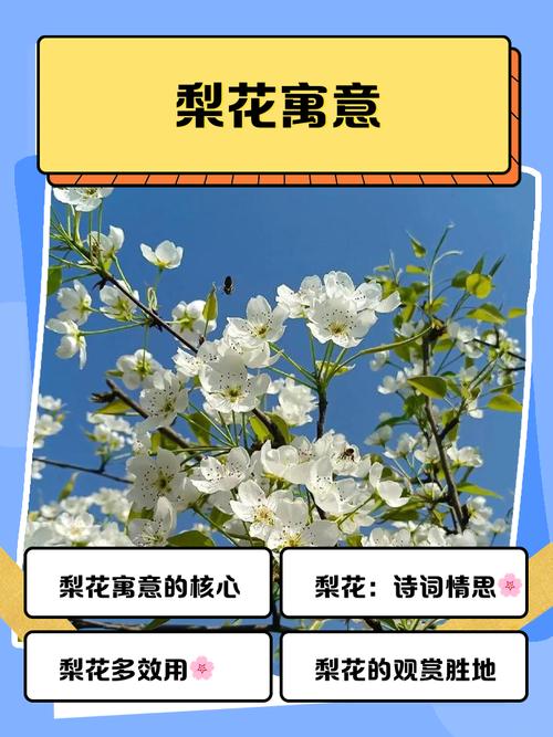 31这个数理值代表春日花开，意味着智勇德智，嫩享受清福，这究竟是大吉的象征吗？