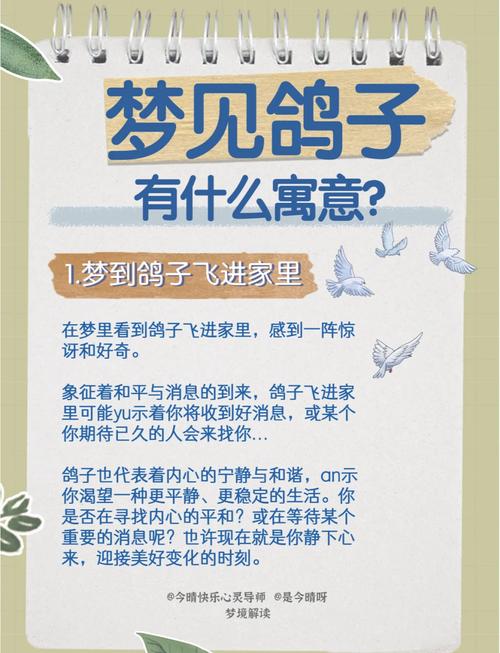 梦见自己变成别人的鸽子，这究竟是什么预兆或含义呢？