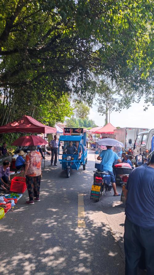 梦见赶集热闹非凡预示着什么吉凶？